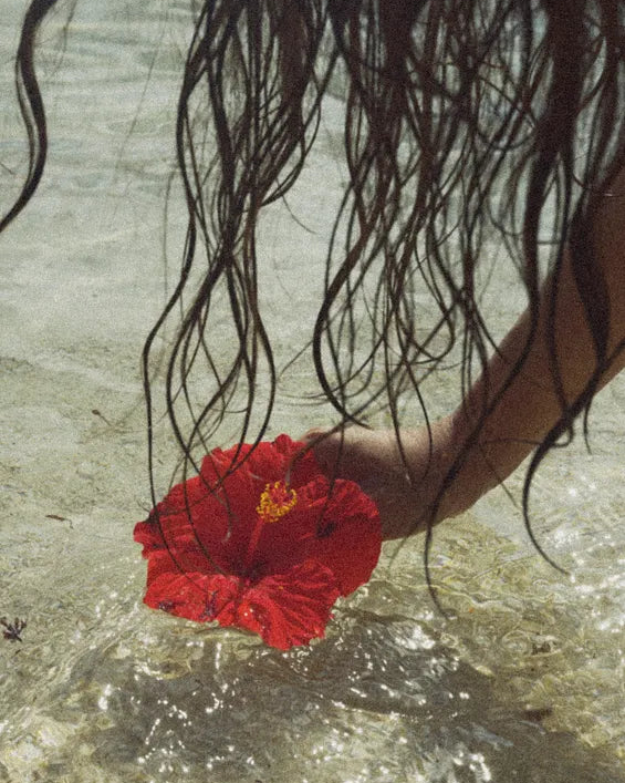 A woman picking up a tiare flower floating on the beach; photo taken by Comptoir Sud Pacifique