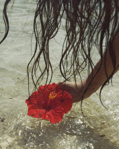 A woman picking up a tiare flower floating on the beach; photo taken by Comptoir Sud Pacifique